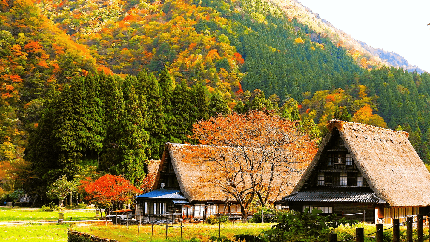 合掌造りの風景